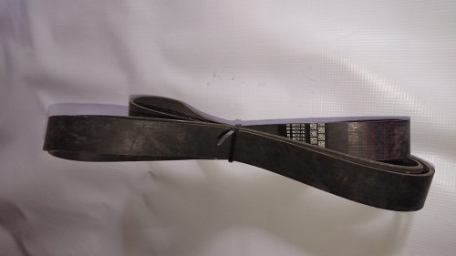 DSC_1426.JPG
